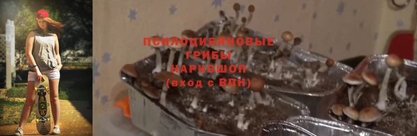 хмурый Навашино