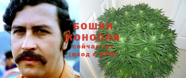крисы Билибино