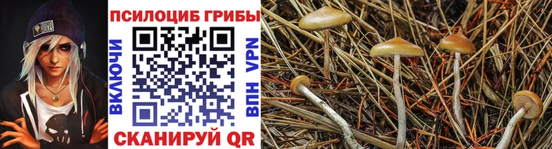 Галлюциногенные грибы мухоморы  Сальск 